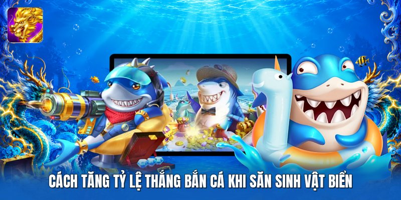 Cách tăng tỷ lệ thắng bắn cá khi săn sinh vật biển Cách tăng tỷ lệ thắng bắn cá khi săn sinh vật biển