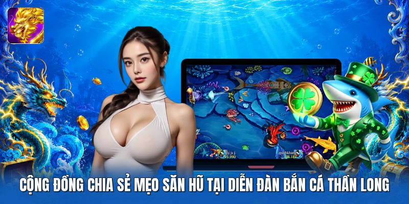Cộng đồng chia sẻ mẹo săn hũ tại diễn đàn bắn cá thần long