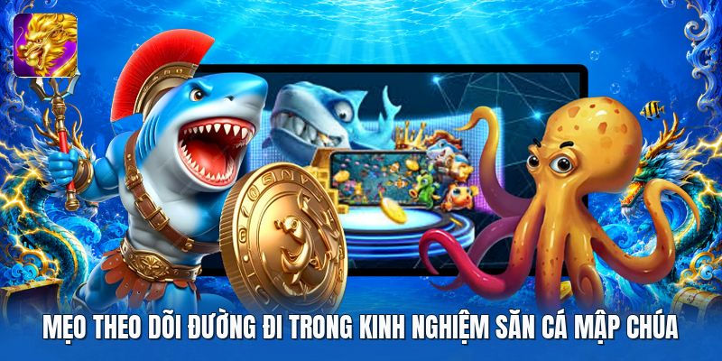 Phương pháp sử dụng đạn trong kinh nghiệm săn cá mập chúa Phương pháp sử dụng đạn trong kinh nghiệm săn cá mập chúa