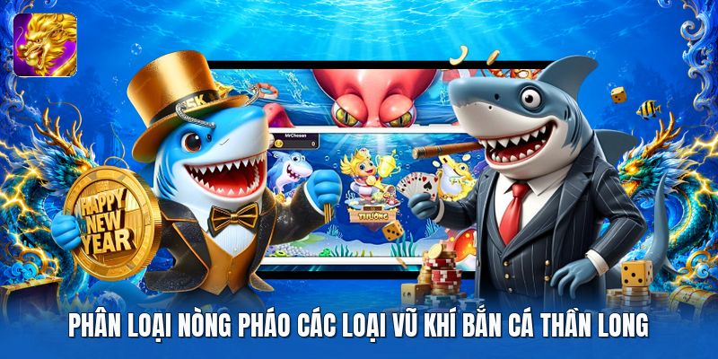 Phân loại nòng pháo các loại vũ khí bắn cá thần long